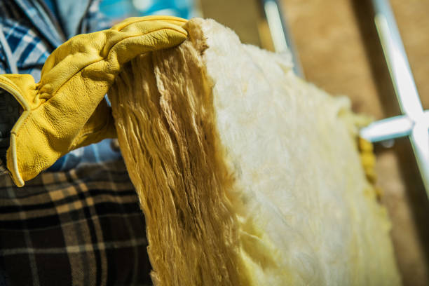 Best Cellulose Insulation in Garden Ridge, TX
